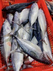 Cá ngừ làm sạch - Khay 500g