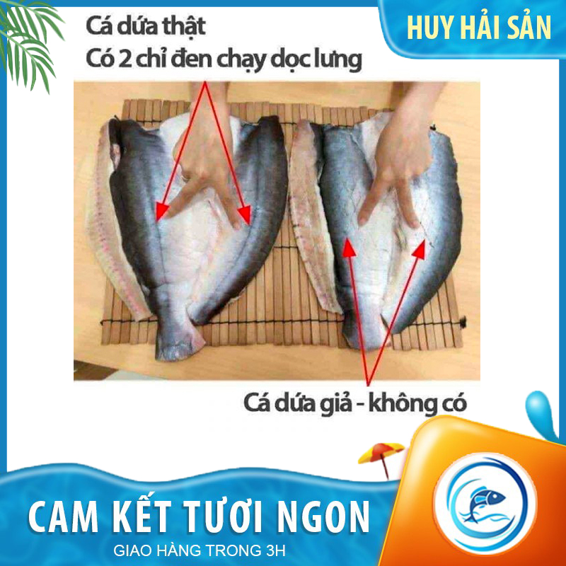 Cách phân biệt cá dứa thật và cá dứa giả